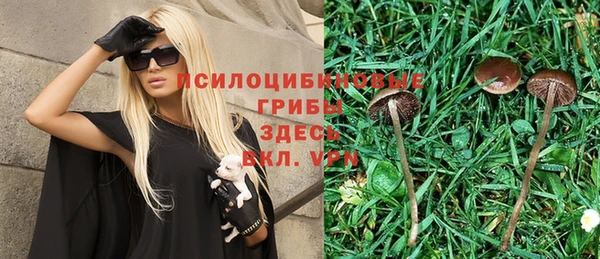 МДПВ Лихославль