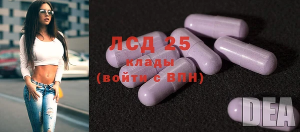 спиды Липки