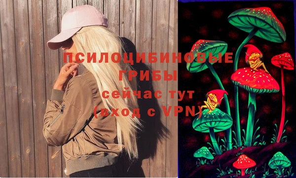 МДПВ Лихославль