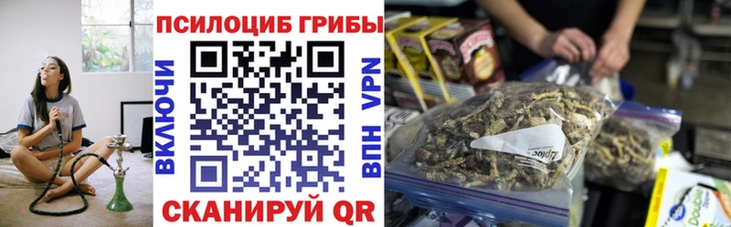 Псилоцибиновые грибы Psilocybe  Данков 